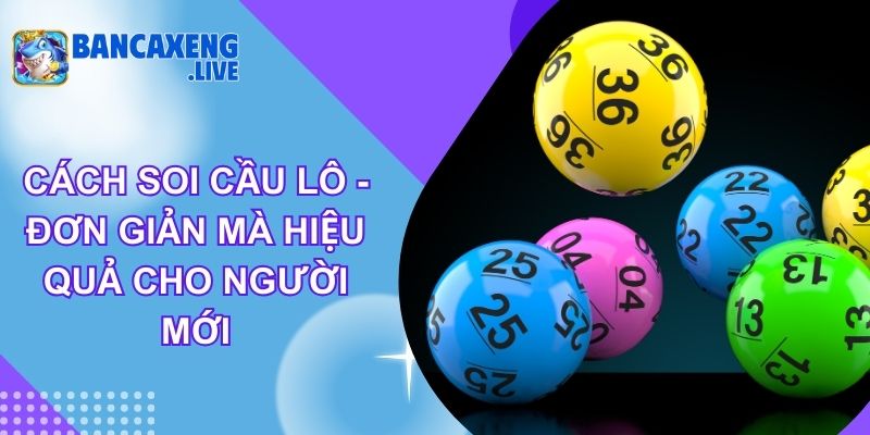 Cách Soi Cầu Lô - Đơn Giản Mà Hiệu Quả Cho Người Mới