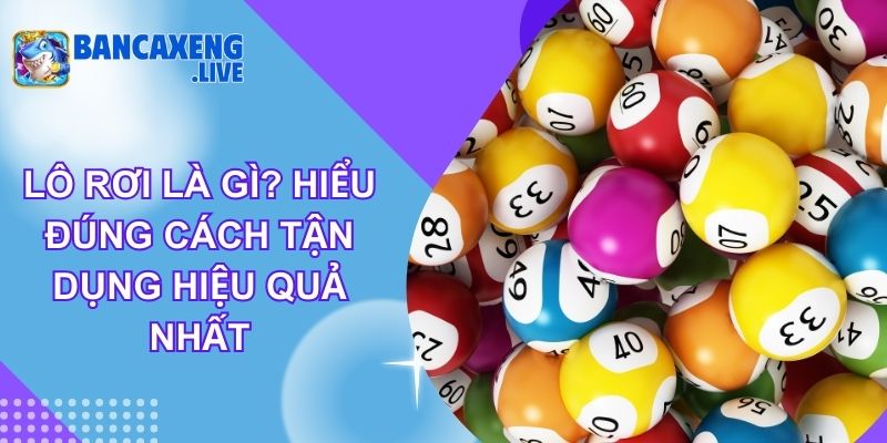Lô Rơi Là Gì? Hiểu Đúng Cách Tận Dụng Hiệu Quả Nhất