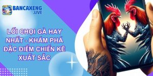 Lối Chọi Gà Hay Nhất - Khám Phá Đặc Điểm Chiến Kê Xuất Sắc